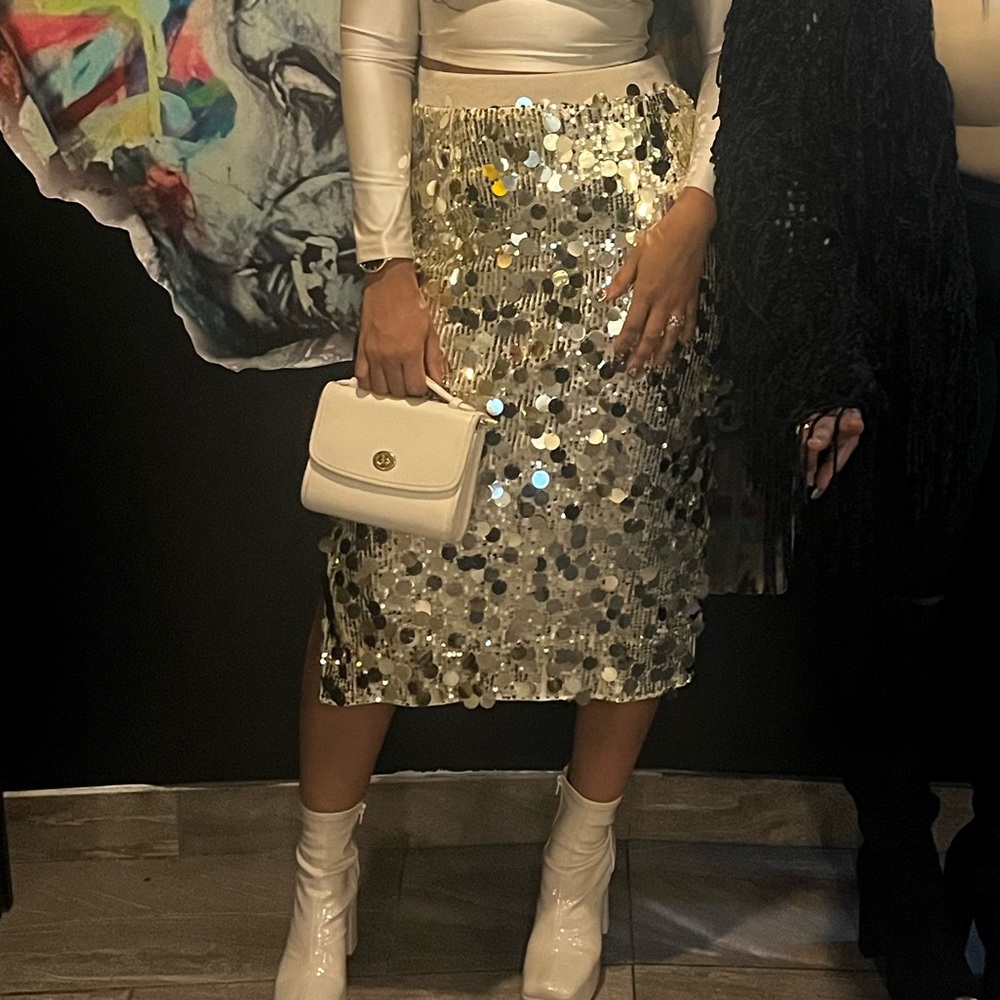 Sequin Embellished Skirt